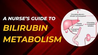 Metabolism of Bilirubin explained in Nepali [upl. by Adnoloy]