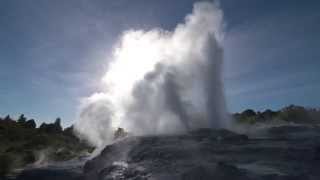 Pōhutu geyser Te Waiariki o Pōhutu [upl. by Aredna]