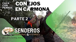 Parte 2 Conejos en Carmona [upl. by Ainad361]