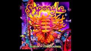 Shpongle  Museum Of Consciousness FULL ALBUM [upl. by Senzer]