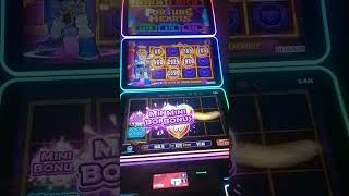 Fortune hearts best than bulrush minorjackpot slot slotmachine dragontrain casino [upl. by Arodal757]