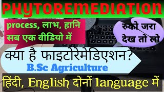 what is phytoremediation PHYTOREMEDIATION PHYTOREMEDIATION in hindi phytoremediation kya h [upl. by Demaggio]