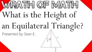 What is the Height of an Equilateral Triangle [upl. by Ensign]