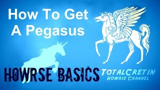 How To Get A Pegasus  Howrse Basics [upl. by Adebayo]