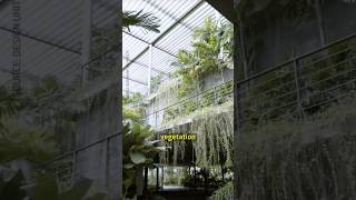 Biophilic design in factories This project shows it’s possible [upl. by Katlin]