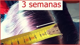 Cómo acelerar el crecimiento del cabello ¡¡ HASTA 4 CM EN 3 SEMANAS [upl. by Naig814]