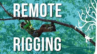 Climbing amp rigging with a remote anchor  Oak prune over garage  Weight Reduction tips [upl. by Sible]