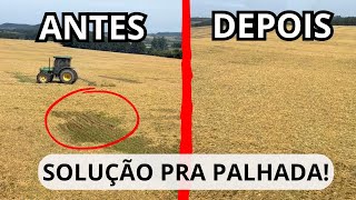 MANEJANDO A PALHADA Ficou top pra plantar [upl. by Ardelle481]