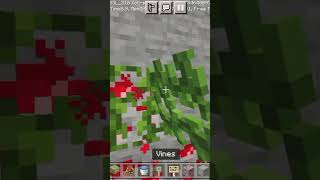 How to make redberry vines in Minecraft shorts gaming short [upl. by Sunny]