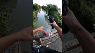 Learn carefully how to set up and fishing by automatic fishing rod and reelfishinggear fishing [upl. by Hinman]