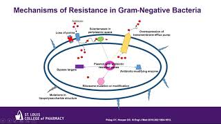 New Antibiotics for the Treatment of Drug Resistant Gram Negative Infections [upl. by Finbar]