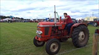 Nairn Show Kinnudie Farm Auldearn 30072016 Vintage Tractor Display [upl. by Adley209]