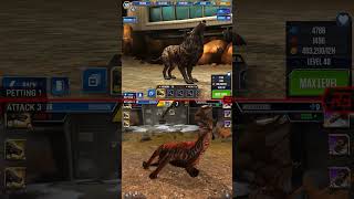 HYAENODON ALL EVOLUTION amp HYAENODON ALL ANIMATION  Jurassic World The Game [upl. by Kataway]