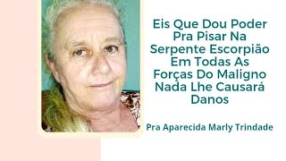 Aparecida Trindade está ao vivo Eis que te dou poder para pisar em serpentes e escorpiões [upl. by Clayson255]