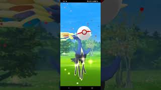 Pokemon go Xerneas raid moment 🤩 shorts viral [upl. by Aleen657]