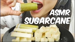 ASMR SUGARCANE EXTREME JUICY EATING SOUNDS No Talking  SASASMR PART 2 [upl. by Saisoj270]