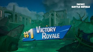 Fortnite Duo Win 390 [upl. by Rahab]