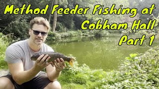 Feeder Fishing at Cobham Hall Part 1 [upl. by Sachsse]