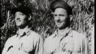 quotThe Coast Watchersquot  Guadalcanal 1942 Part 2 of 2 [upl. by Bega56]