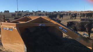 Extreme Duty Strobel Box Scraper  working a feedlot [upl. by Tamar852]