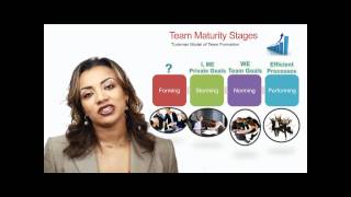 High Performance Teams  Part 2  Team Maturity Stages [upl. by Mathia]