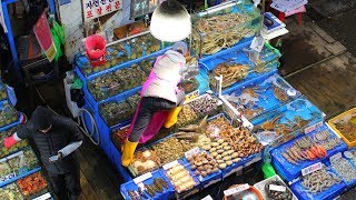 Delicious KOREAN SEAFOOD FEAST at Noryangjin Fish Market SEOUL South Korea [upl. by Bezanson]