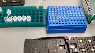 cDNA synthesis Tutorial [upl. by Mcgannon587]