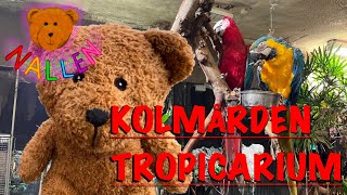 Nallen på Kolmården Tropicarium [upl. by Iadrahc]