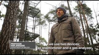 BEHIND THE SCIENCE Renewable Energy National Geographic [upl. by Olivette]