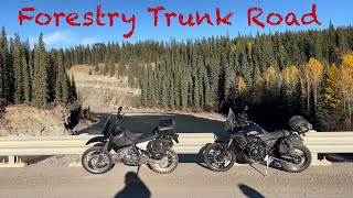 Alberta back country on a Tenere 700  dr650 [upl. by Legge]