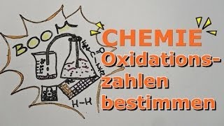 Oxidationszahlen bestimmen [upl. by Legnaesoj173]