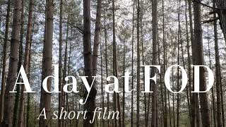 A day at FOD  A short film [upl. by Hackathorn]