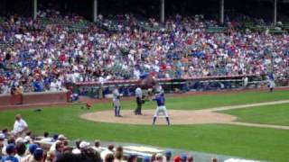 Zooperstars at Wrigley Field [upl. by Halet]