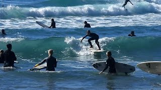 2024 8th Nov Surfing Nippers [upl. by Woody104]