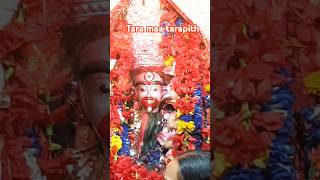 মাগো আনন্দময়ী🌺Maago Anandomoyee🔥 Shyama Sangeet  mahakali kalipuja kalighat tarapith shorts [upl. by Lyndsay606]