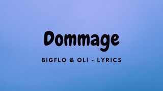 Bigflo amp Oli  Dommage  LYRICS [upl. by Kanal]