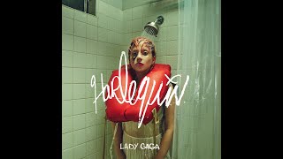 Lady Gaga  Happy Mistake Lyrics [upl. by Viradis]