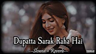 Dupatta Sarak Raha HaiSLOWED amp REVERBUdit Narayan  Alka Yagnik  SB Lofi [upl. by Smeaj]