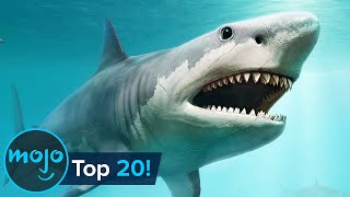 Top 20 Extinct Animals [upl. by Irrak]