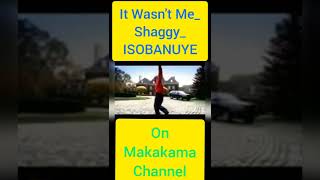 Shaggy It Wasnt Me ISOBANUYE by Makakama [upl. by Jaan]