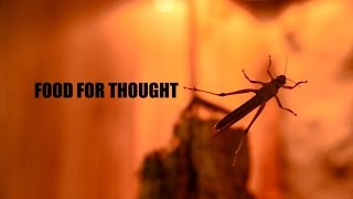 Food For Thought Short Documentary [upl. by Coates]