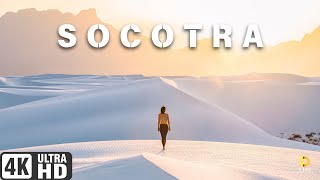 Socotra Island Yemen  Step Into Another World  4K Cinematic [upl. by Maurine829]