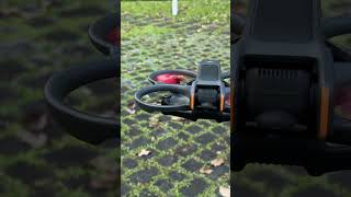 djiavata2 with Master Airscrew Propellers djifpv fpvdrone masterairscrew [upl. by Grindle]