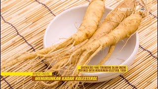 Dimanfaatkan Sejak Ribuan Tahun Ternyata Inilah Khasiat amp Manfaat Ginseng [upl. by Ronnoc401]