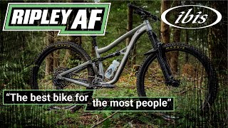 Ibis Ripley AF Review An AggroXC MTB for Everyone DownCountry [upl. by Eraste]