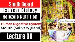 salivary glands  human Digestive System  holozoic nutrition class 11 biology Sindh board new book [upl. by Tice869]