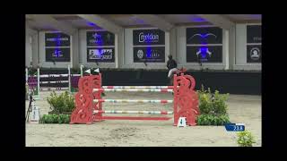 Azorro vd Pluishoek 78 yo CSIYH Peelbergen 5th place [upl. by Rania602]