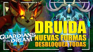 Cómo conseguir TODAS las nuevas formas de Druida  Dragonflight 102 [upl. by Aivalf]