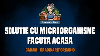 Solutie cu microorganisme facuta acasa  Metoda JADAM  gradinarit bio homemade [upl. by Arayc]