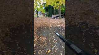 the Echo PB580T putting in some work fall leaves autumn leafblower echo landscaping [upl. by Grady10]